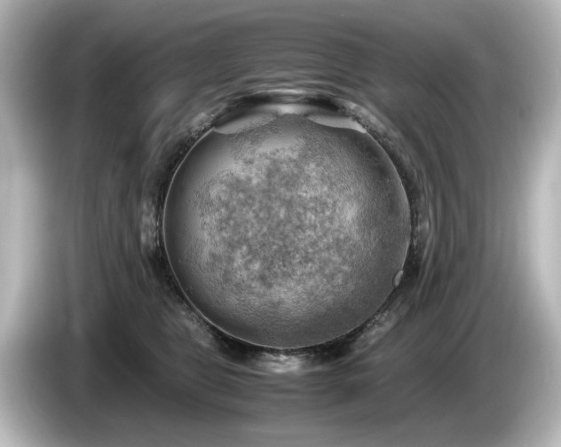 X0000085740469200703161032