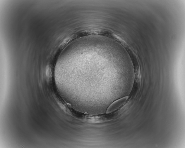 X0000085740472200703161032