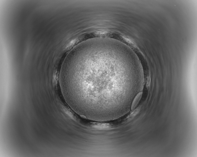 X0000085740476200703161032