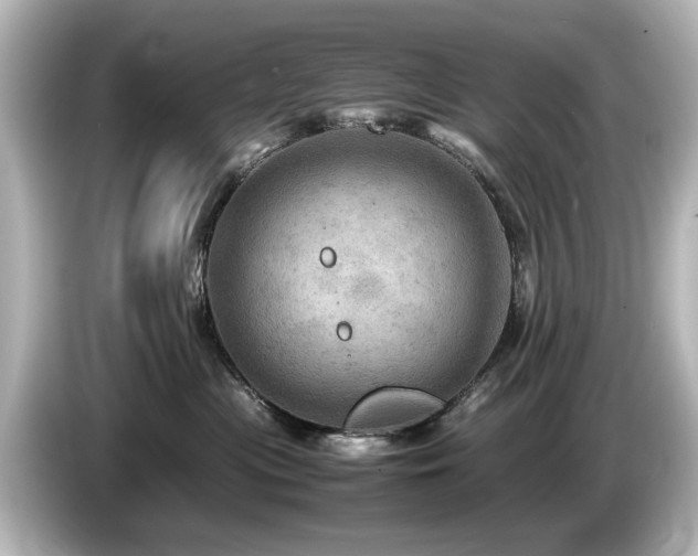 X0000085740477200703161032