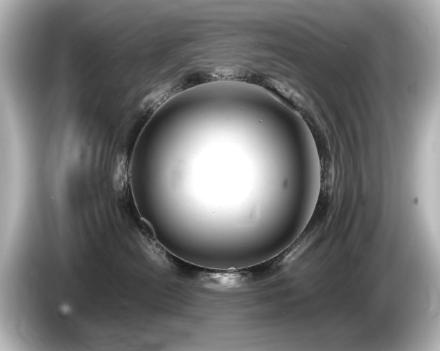 X0000085740478200703161032