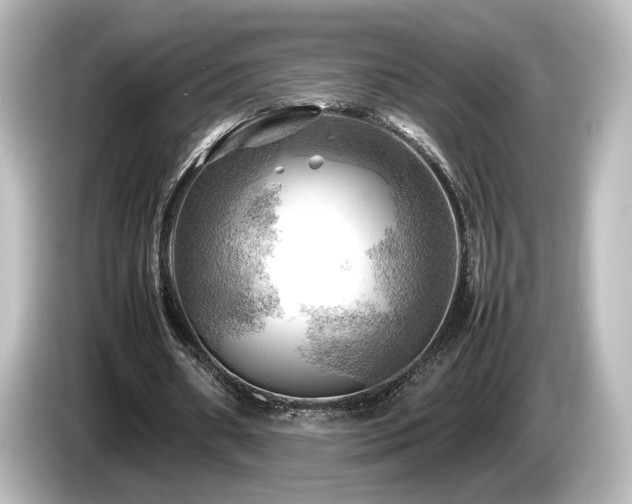 X0000085740482200703161031