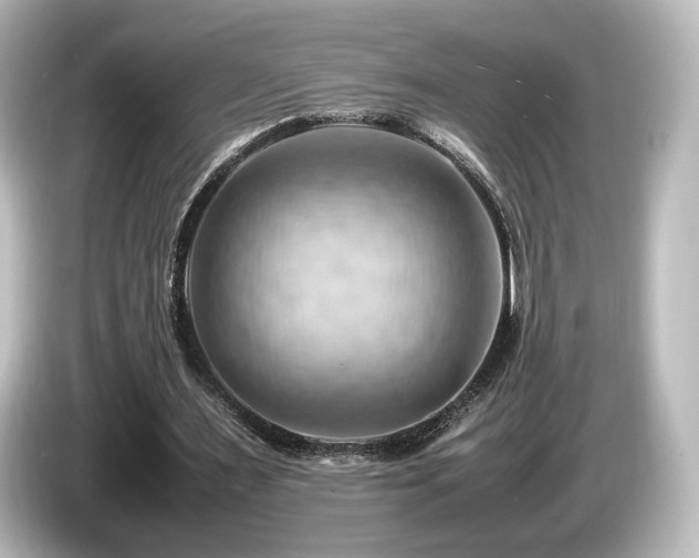 X0000085740483200703161031