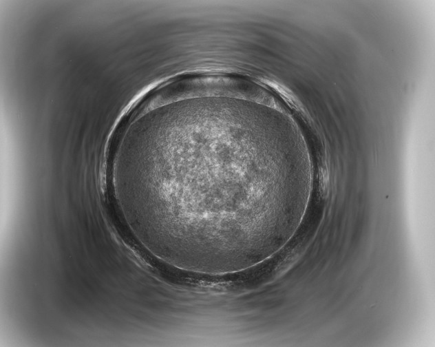 X0000085740484200703161031