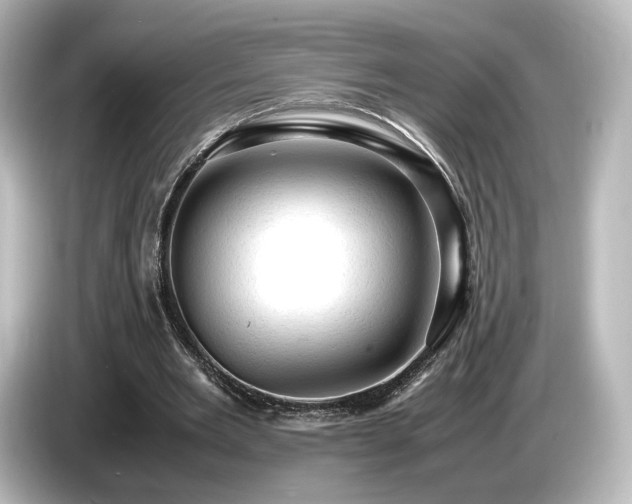 X0000085740485200703161031