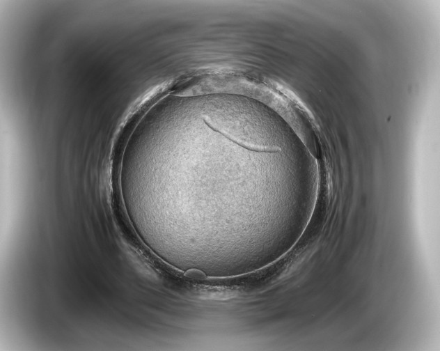 X0000085740486200703161031