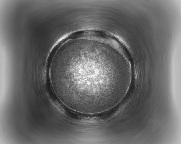 X0000085740488200703161031