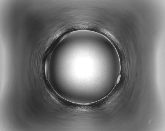 X0000085740489200703161031