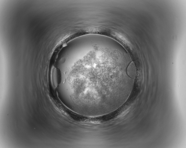 X0000085740491200703161031