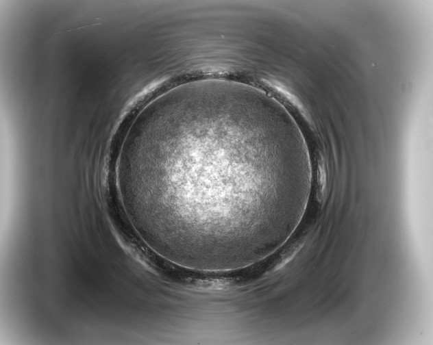 X0000085740492200703161031