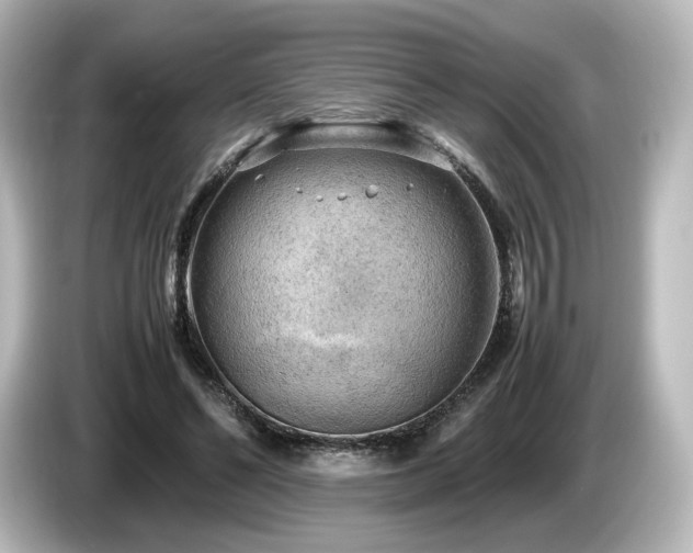 X0000085740494200703161031