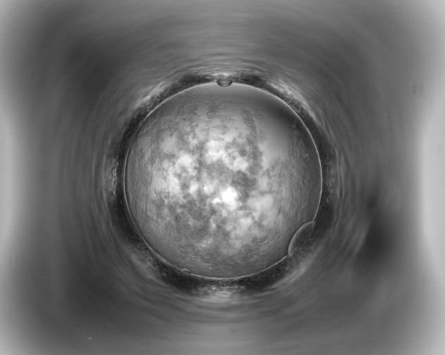 X0000085740495200703161031