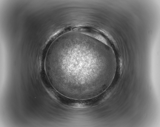 X0000085740496200703161031