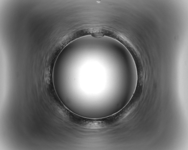 X0000085740497200703161031