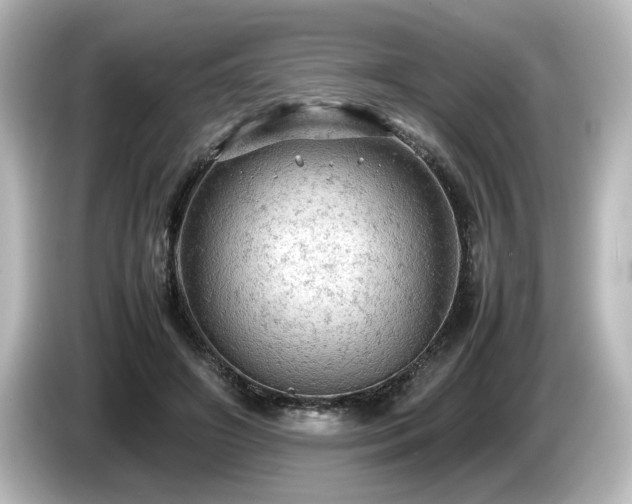 X0000085740498200703161031