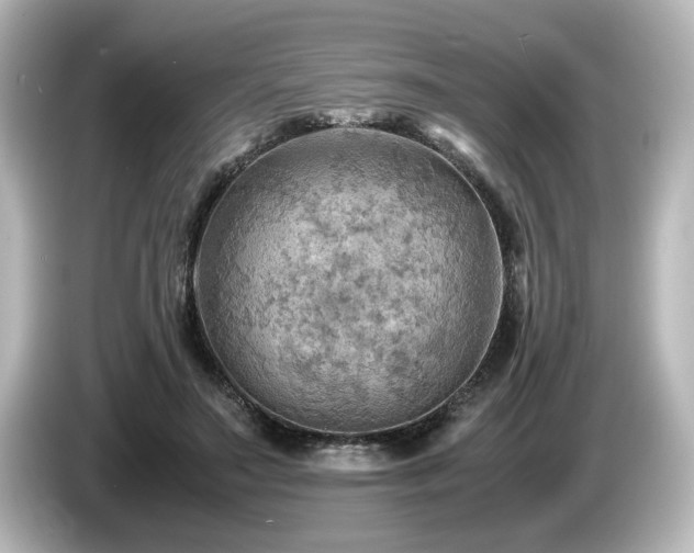 X0000085740499200703161031