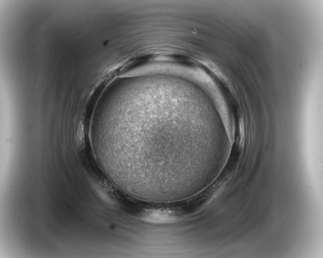 X0000085740500200703161031