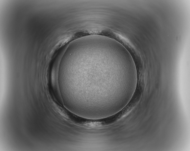 X0000085740501200703161031