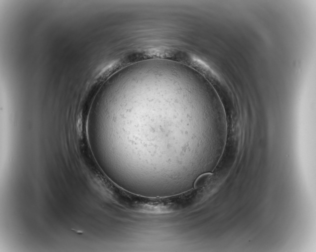 X0000085740502200703161031