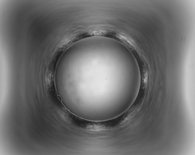 X0000085740503200703161031