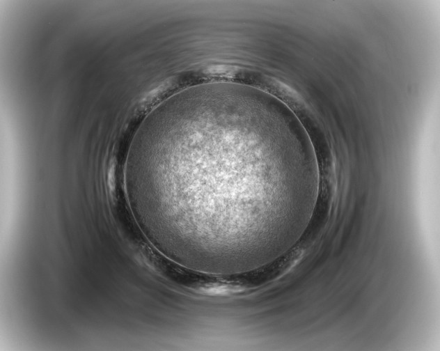 X0000085740504200703161031