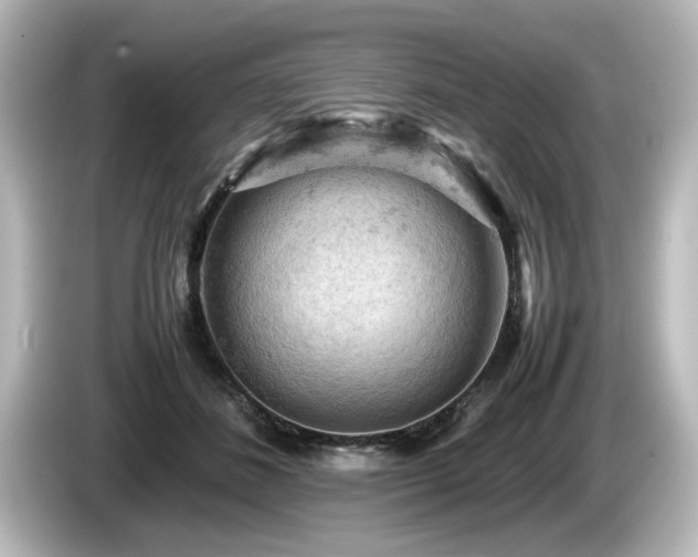 X0000085740508200703161031