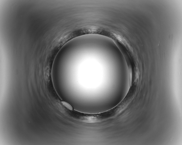 X0000085740509200703161031