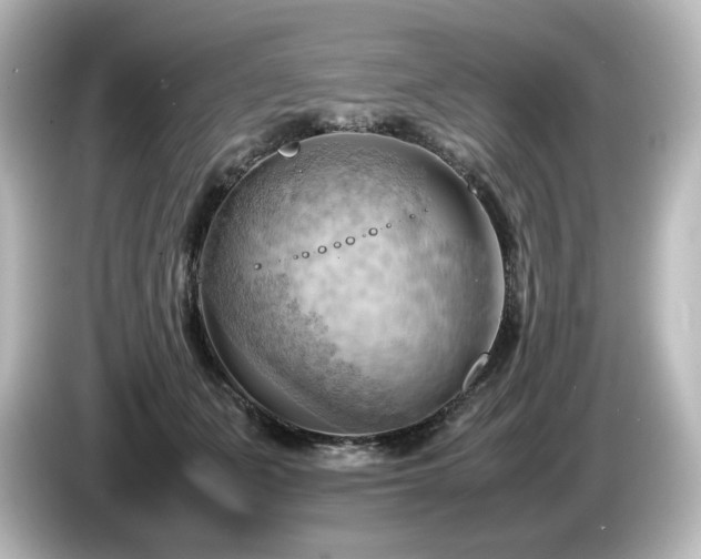 X0000085740511200703161031