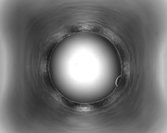 X0000085740514200703161031