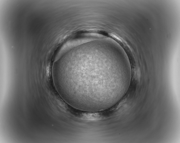 X0000085740517200703161031