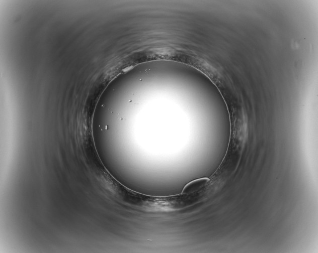 X0000085740518200703161031