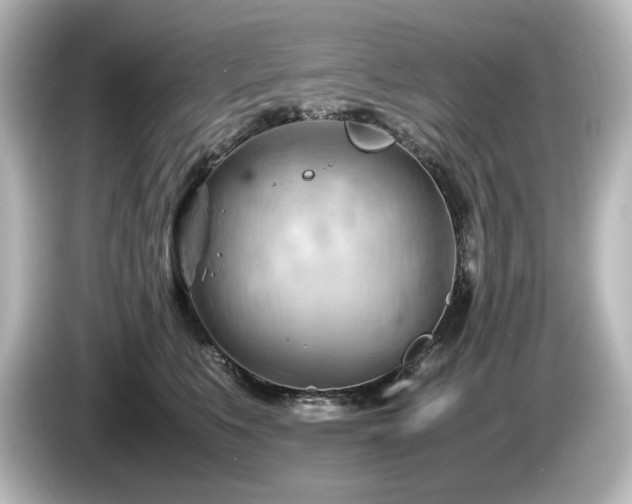 X0000085740519200703161031
