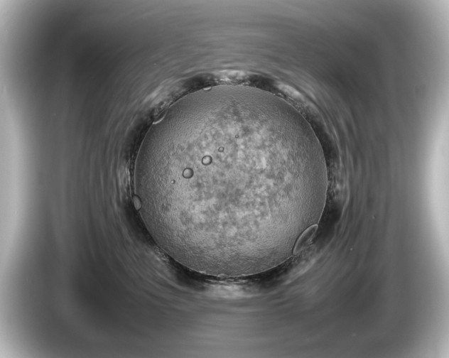 X0000085740523200703161031