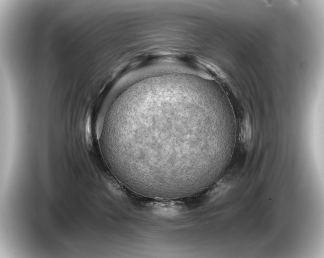 X0000085740524200703161031