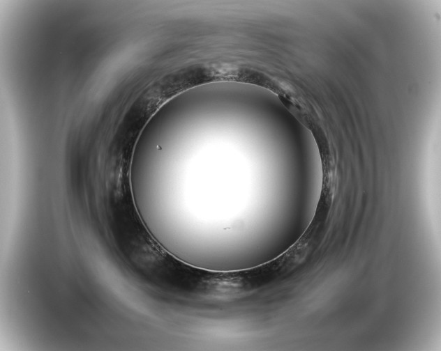 X0000085740525200703161031
