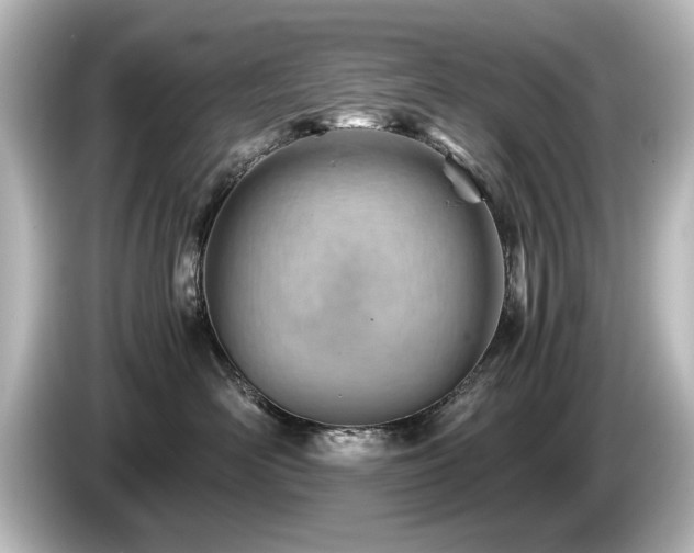 X0000085740526200703161031