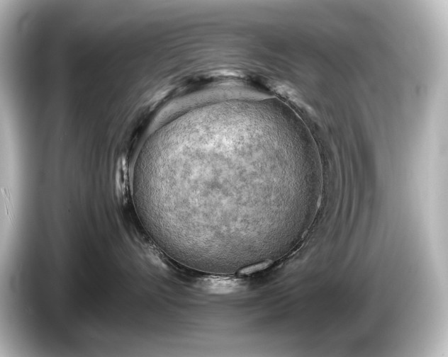 X0000085740528200703161031
