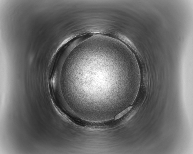X0000085740530200703161030