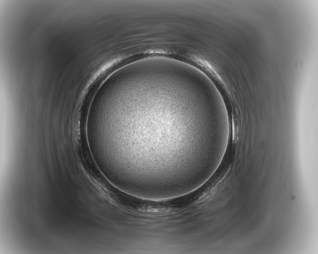 X0000085740531200703161030