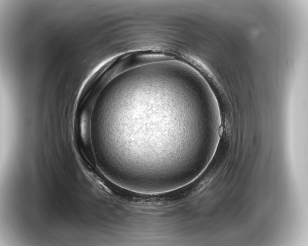 X0000085740532200703161030