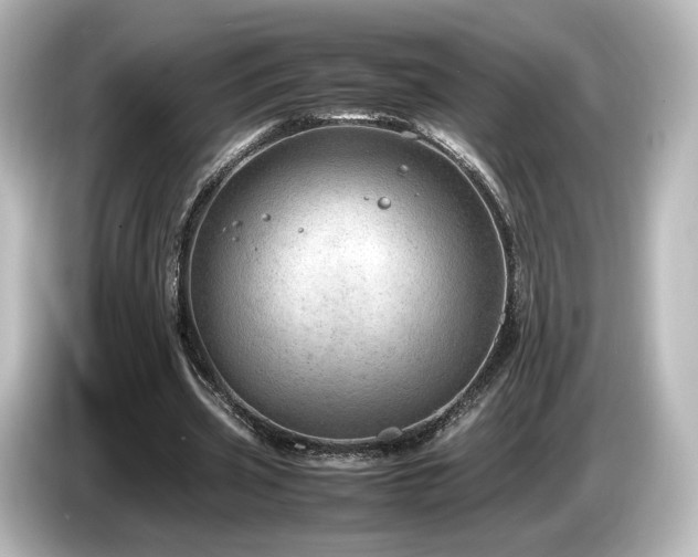 X0000085740533200703161030