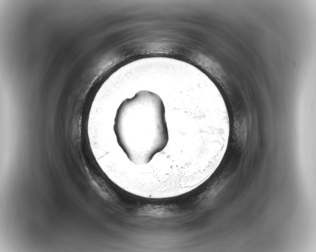 X0000085740534200703161030