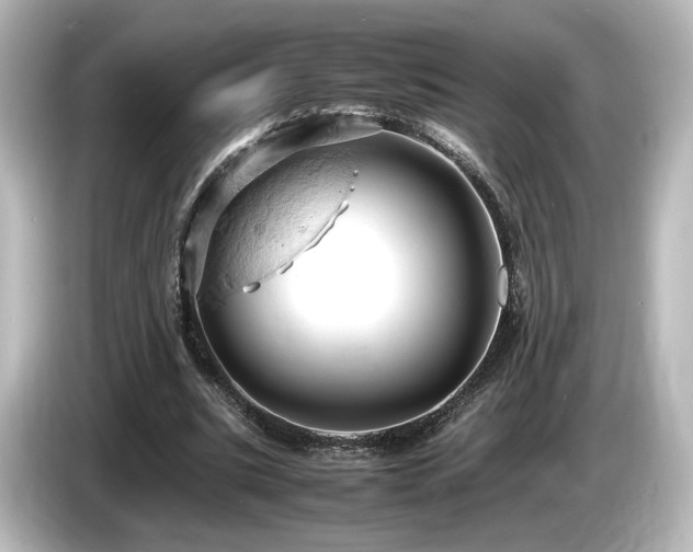 X0000085740535200703161030