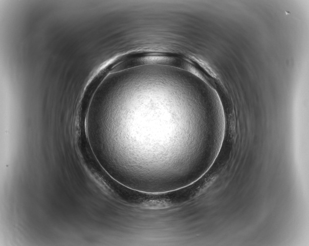 X0000085740536200703161030