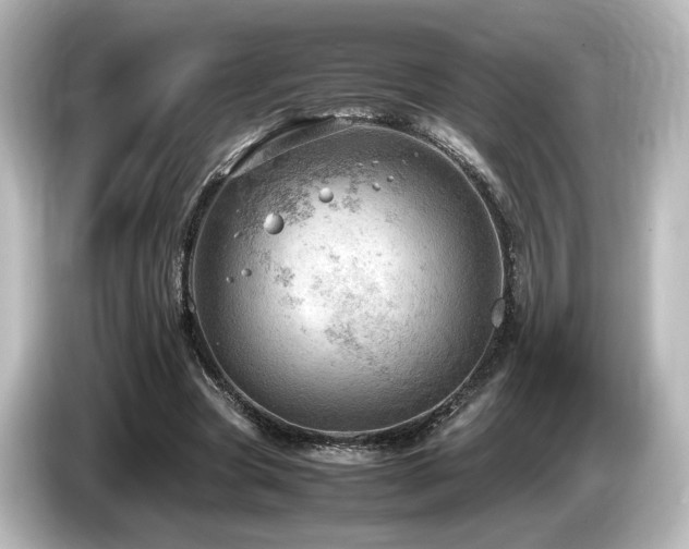 X0000085740537200703161030