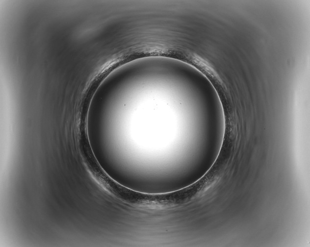 X0000085740538200703161030