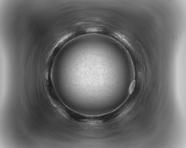 X0000085740539200703161030