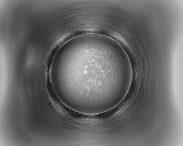 X0000085740542200703161030