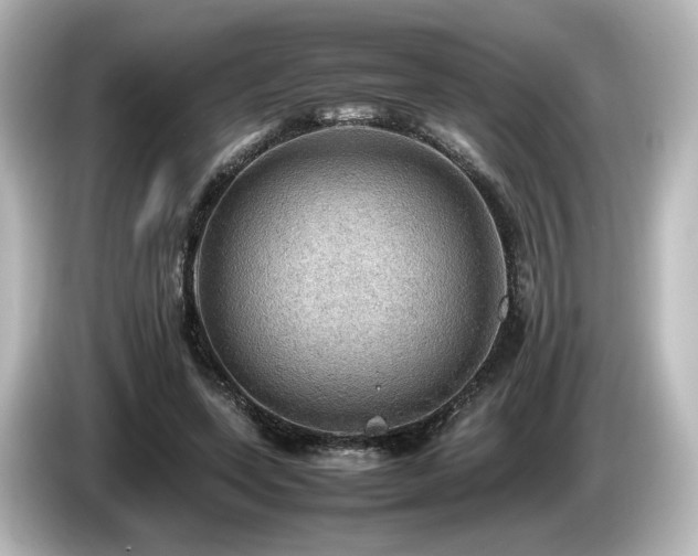 X0000085740543200703161030