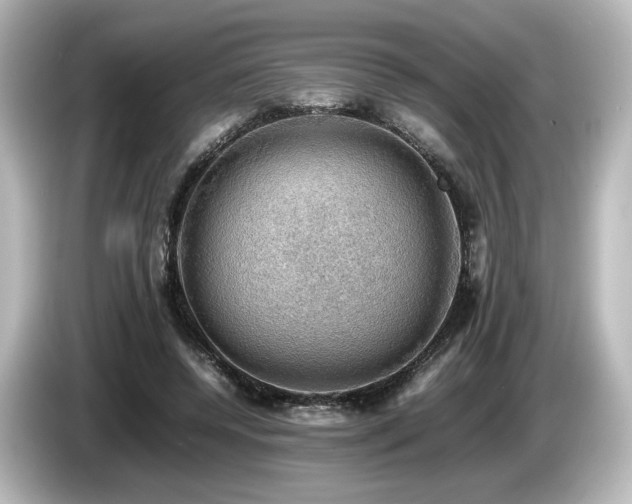 X0000085740544200703161030
